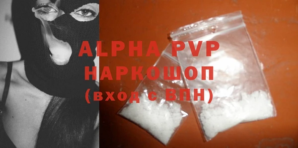 ГАЛЛЮЦИНОГЕННЫЕ ГРИБЫ Заволжье
