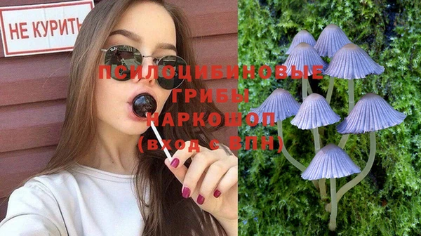 эйфоретик Пересвет