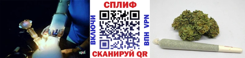 хочу наркоту  Кадников  Каннабис семена 